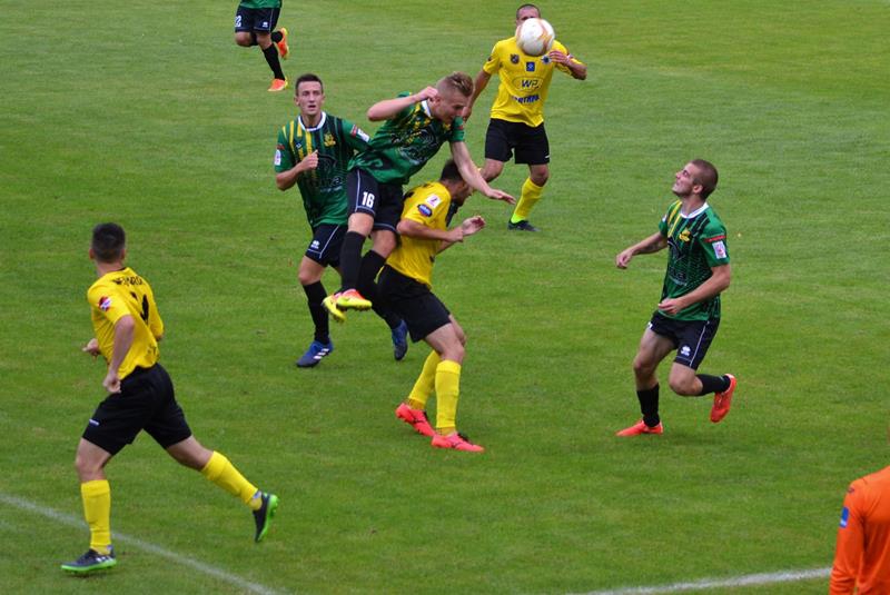 wg/gksjastrzebie.com